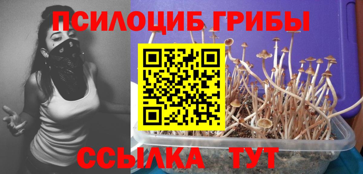 Псилоцибиновые грибы MAGIC MUSHROOMS Гагарин