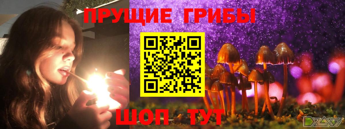 Псилоцибиновые грибы MAGIC MUSHROOMS  Вход с VPN  Псилоцибиновые грибы Magic Shrooms  Гагарин 